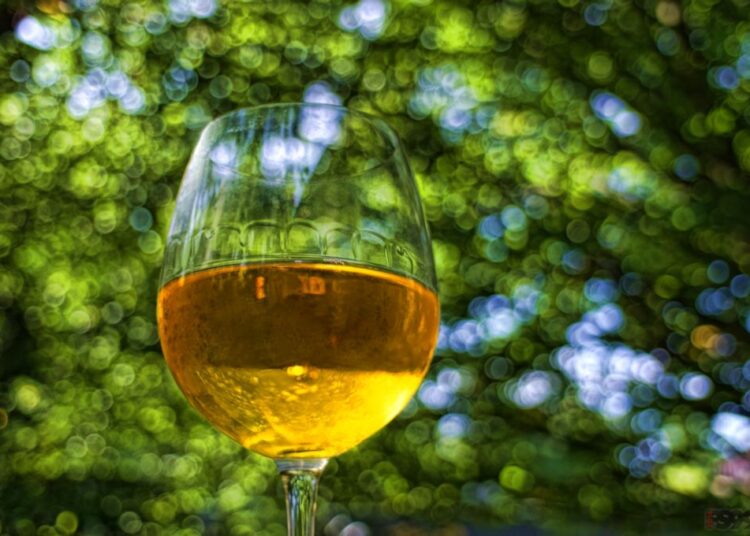 Italiaanse wijn kopen in Nederland: waar moet je op letten