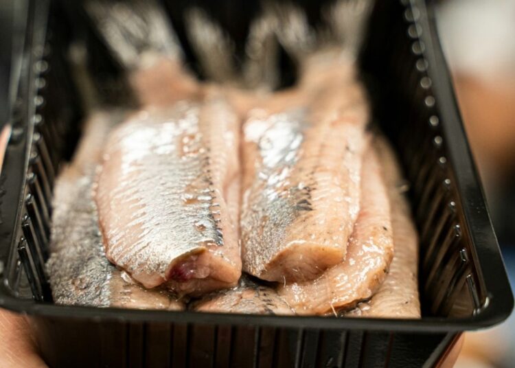 Dit is de reden waarom je beter niet te veel haring kunt eten!