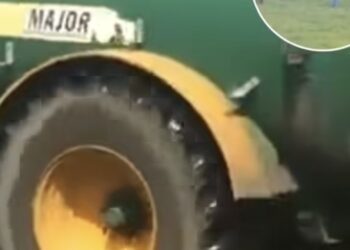 Boze boer laat klimaatactivisten afdruipen – letterlijk onder de stront