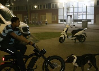 Ondertussen in Rotterdam waar een fatbiker door een pitbull wordt aangepakt