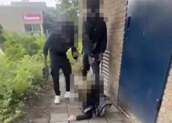 Deze beelden uit Amstelveen gaan hard rond. Twee mannen vallen één jongen aan..