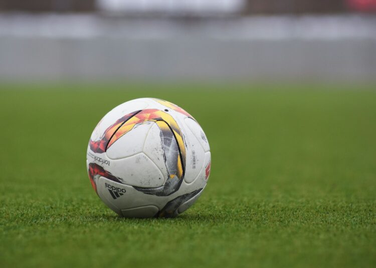 white and gray Adidas soccerball on lawn grass