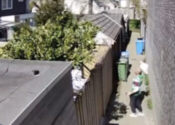 DHL-medewerker heeft haast en besluit om het pakketje bij de buren over de schutting te gooien