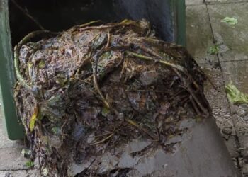 Deze 7 dingen mogen absoluut niet in de GFT-container..