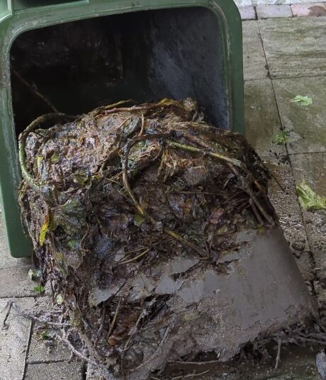 Deze 7 dingen mogen absoluut niet in de GFT-container..