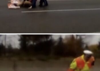 Klimaatactivist probeert zich aan de snelweg te lijmen, maar een Duitse agent grijpt stevig in