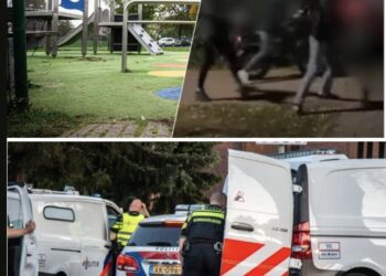 Mensen nemen heft in eigen hand en pakken dader van mishandelde vrouw aan in Raamsdonksveer
