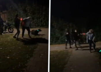 Vrouw laat hond uit in Raamsdonksveer en word mishandeId door fatbikers met vuurwerk