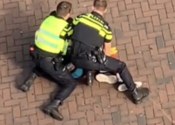 Buurtbewoners genieten van live show: Arrestant uitgeschakeld met taser