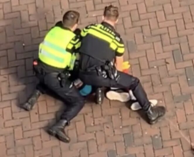 Buurtbewoners genieten van live show: Arrestant uitgeschakeld met taser