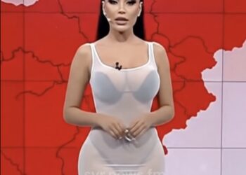 Automatische concepten