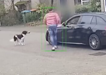 Dacht even rustig de hond uit te laten, maar Enschede had andere plannen
