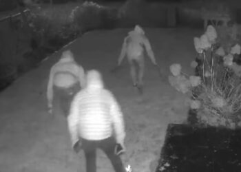 Inbrekers kruipen door de tuin en trekken in 20 minuten huis leeg