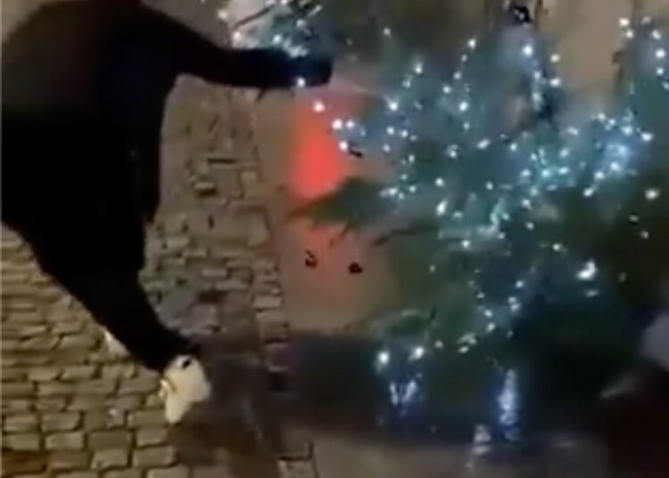 VIDEO: kersthater sloopt hele straat vol kerstbomen in Duitsland