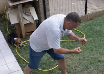 Gast dacht even van het ongedierte af te willen komen