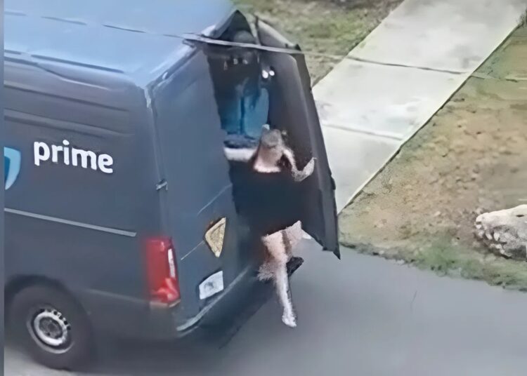 Mevrouw krijgt rondleiding door pakketbezorger en internet slaat meteen op hol