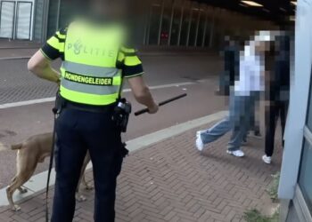 Totale escalatie bij overlast door straatterroristjes: Politie grijpt in met diensthond