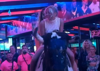 Beestenboel op Koningsdag: Twee Heldinnen en een Mechanische Stier