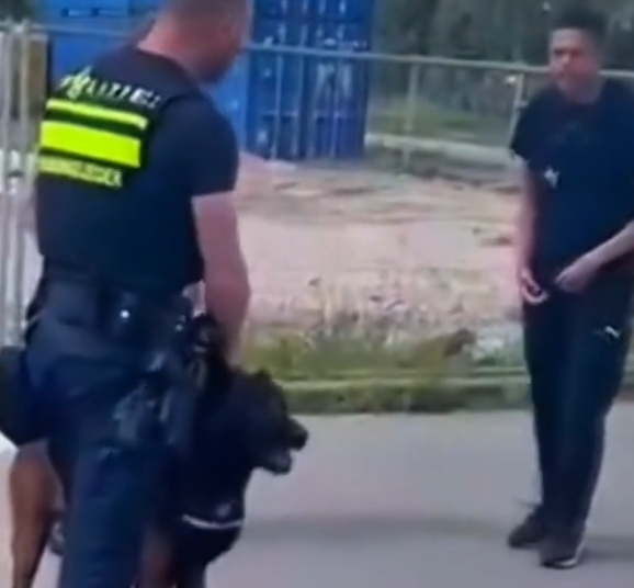 Nederlandse agent laat zien hoe het moet: grenzen stellen en respect afdwingen