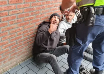 Lokale helden jagen autodieven op in Ter Apel: je verzint het niet